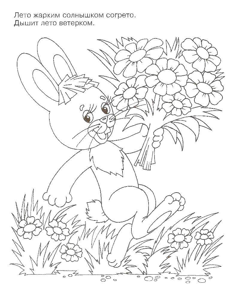 Coloring Honey carries a bouquet of flowers. Category Animals. Tags:  Animals, Bunny.