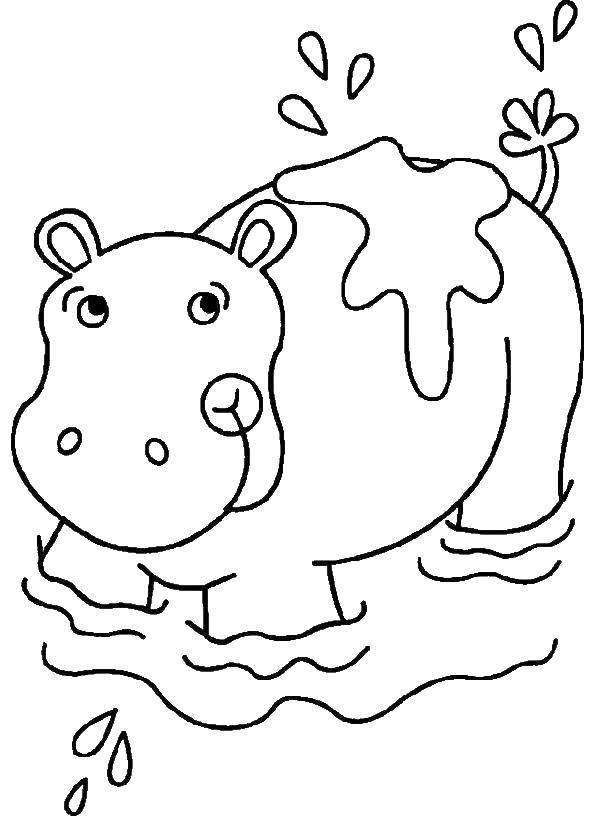 Название: Раскраска Бегемот купается в в оде. Категория: бегемот. Теги: бегемот, вода.