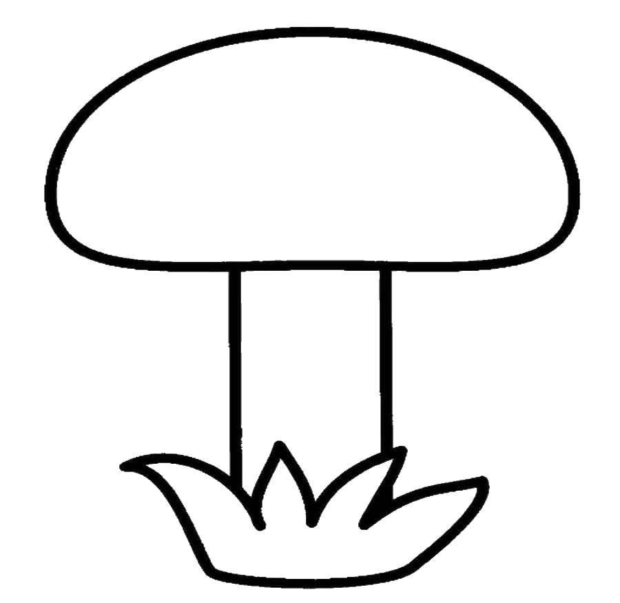 Название: Раскраска Грибы. Категория: простые раскраски. Теги: грибы.
