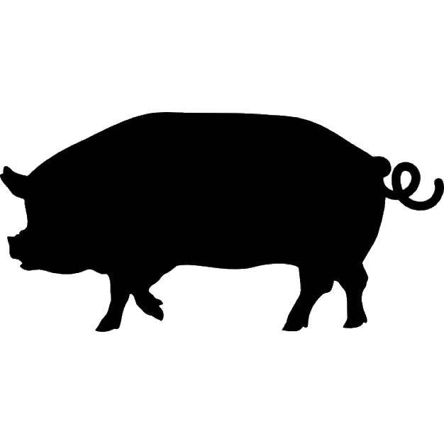 Название: Раскраска Контур свиньи. Категория: Контуры животных. Теги: свинья, контур.
