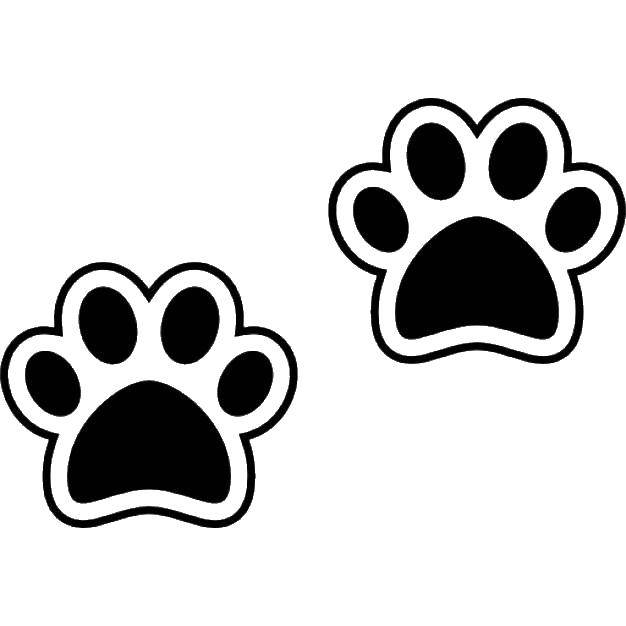 Coloring Traces of paws. Category Animal tracks. Tags:  Trail.