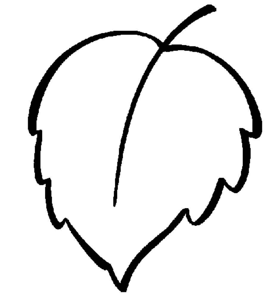 Coloring Sheet. Category simple coloring. Tags:  leaf.