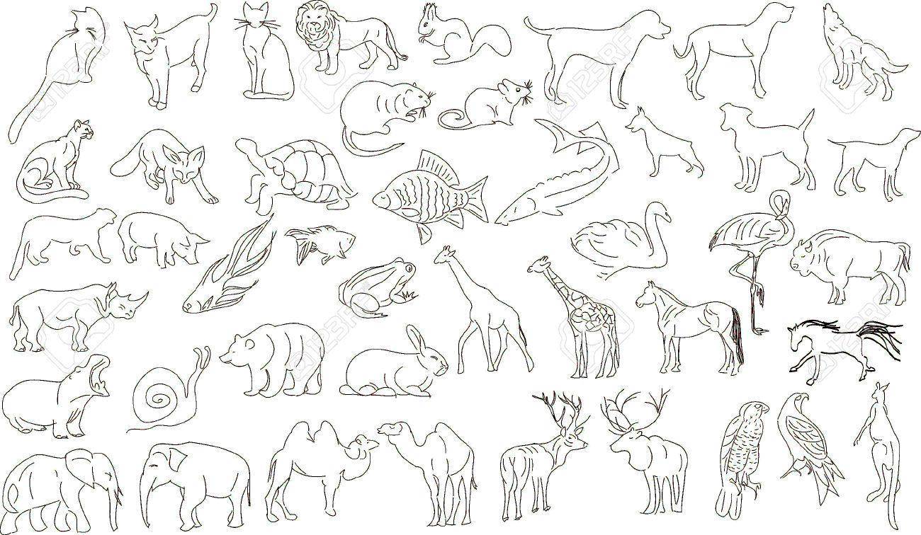 Coloring Many animals. Category Animals. Tags:  Animals.