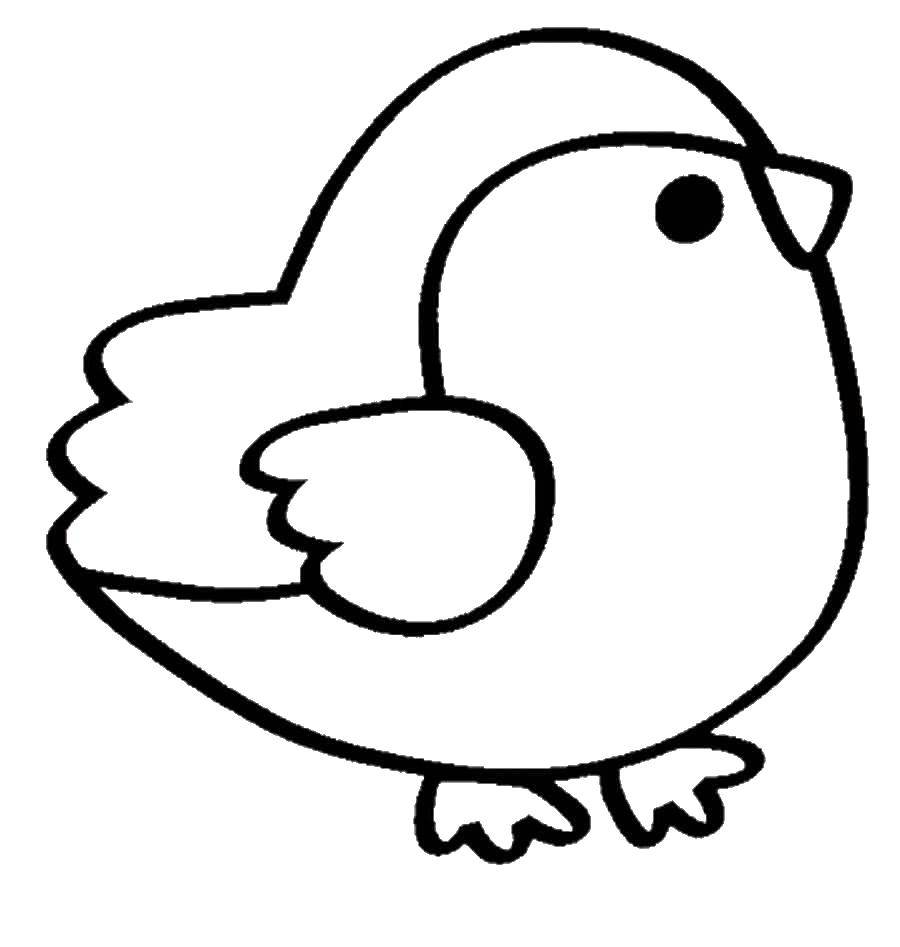Coloring Bird. Category simple coloring. Tags:  bird.