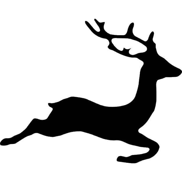 Coloring Silhouette of a deer. Category coloring. Tags:  Outline .