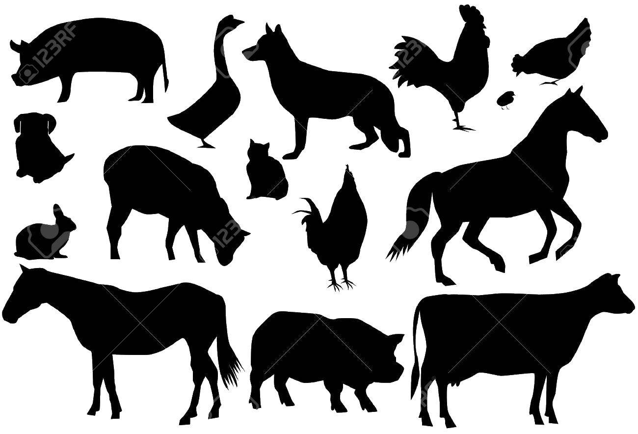 Coloring Silhouettes of animals. Category coloring. Tags:  Outline .