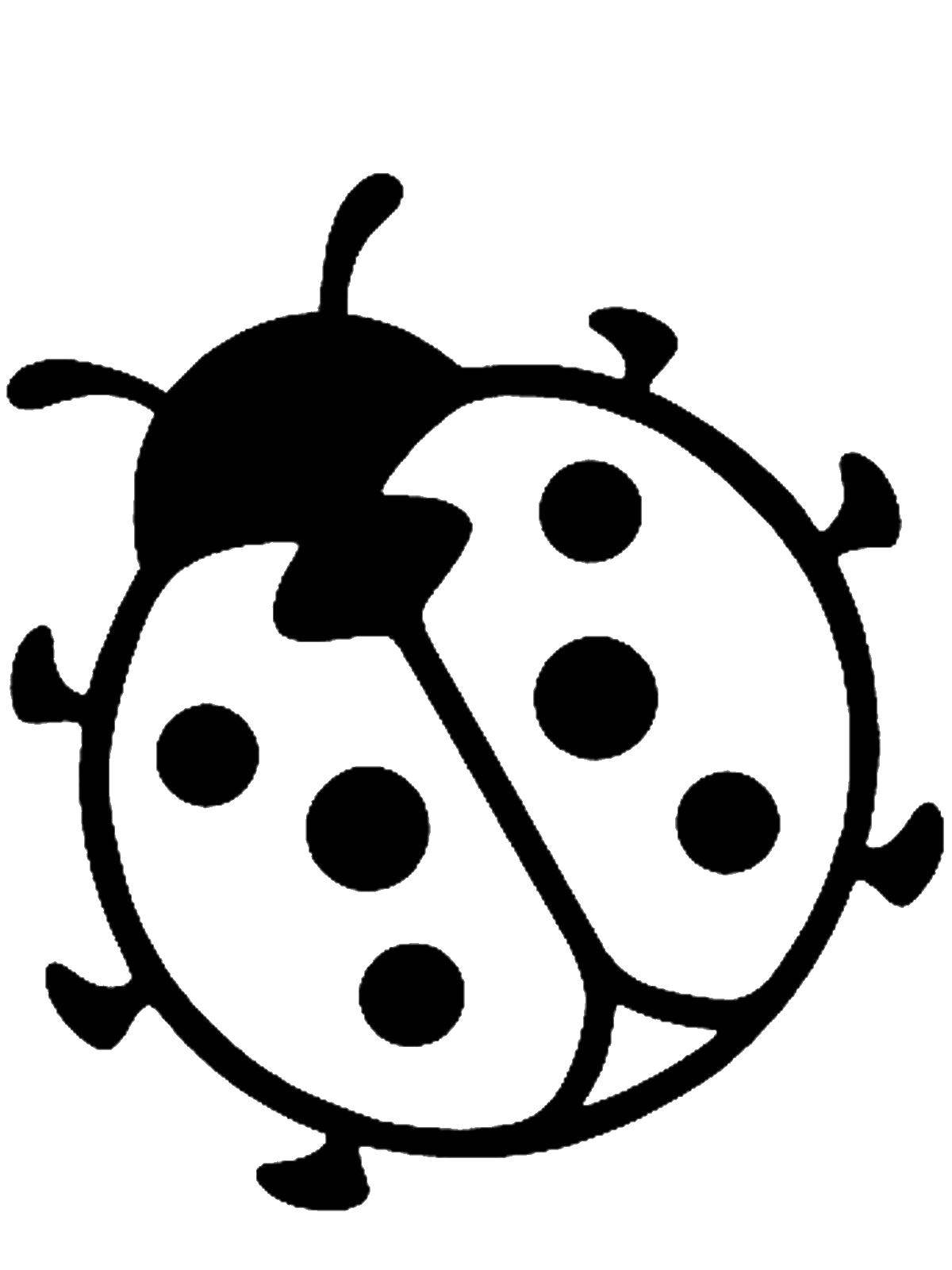 Coloring Ladybug. Category Insects. Tags:  Ladybug.