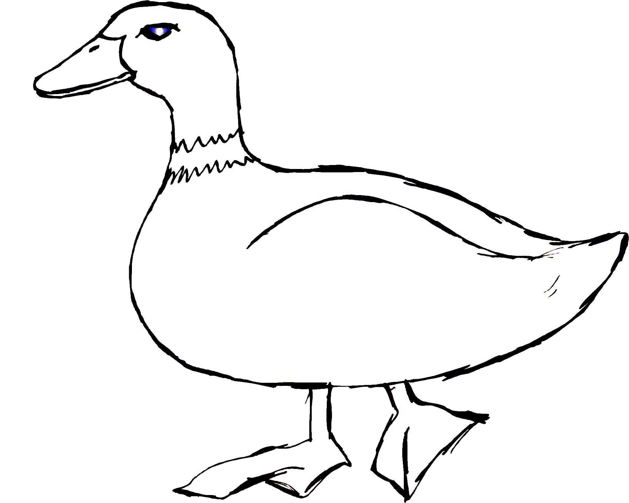Coloring Duck on a walk. Category The contours for cutting out the birds. Tags:  duck.