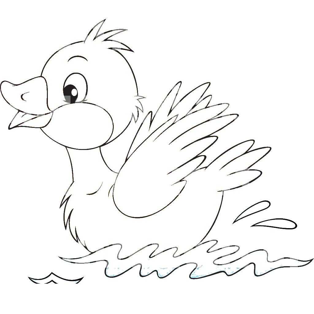 Название: Раскраска Утенок плескается в воде. Категория: Контуры для вырезания птиц. Теги: Утенок, вода.
