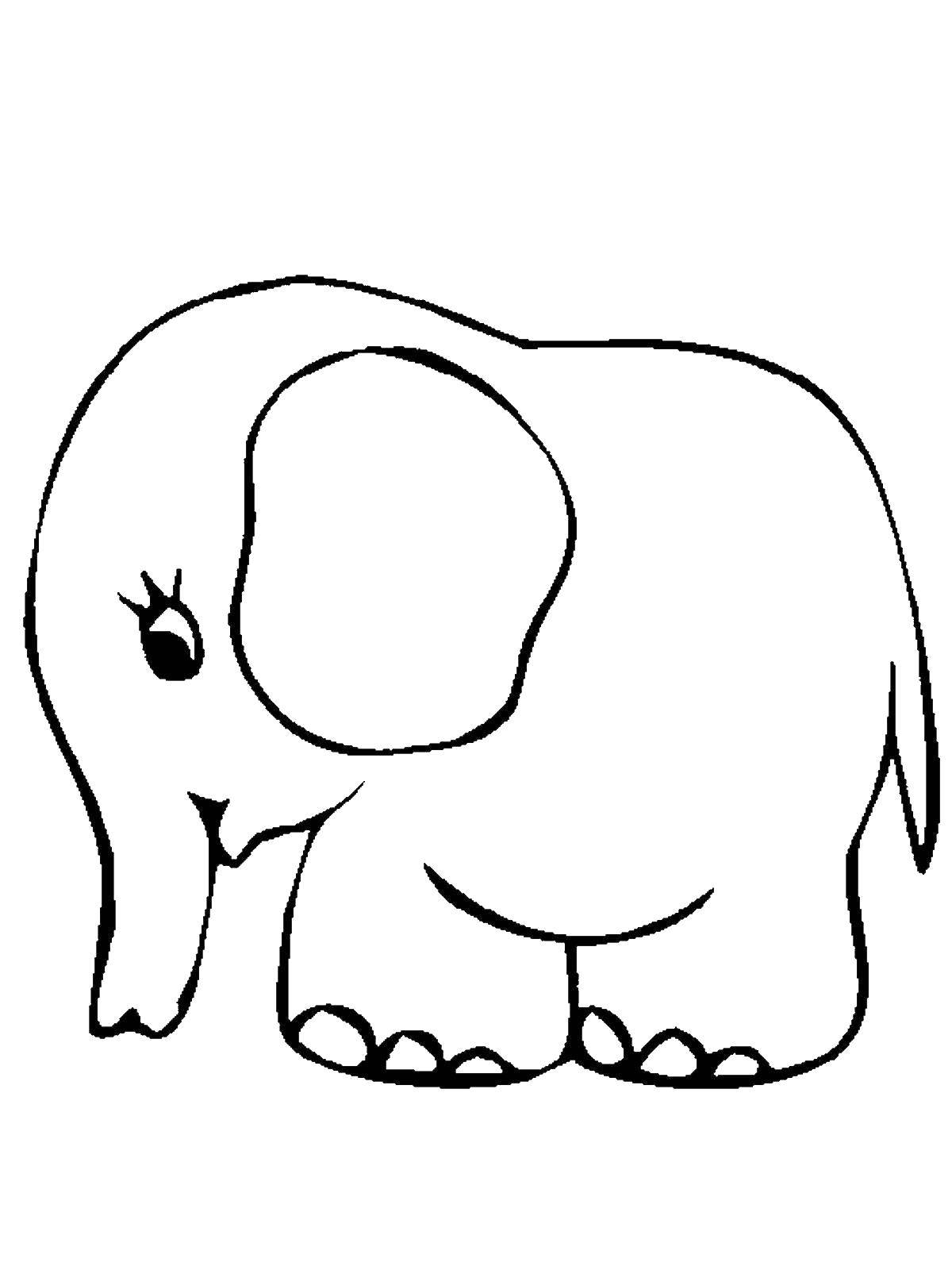 Название: Раскраска Слон. Категория: Животные. Теги: Слон.