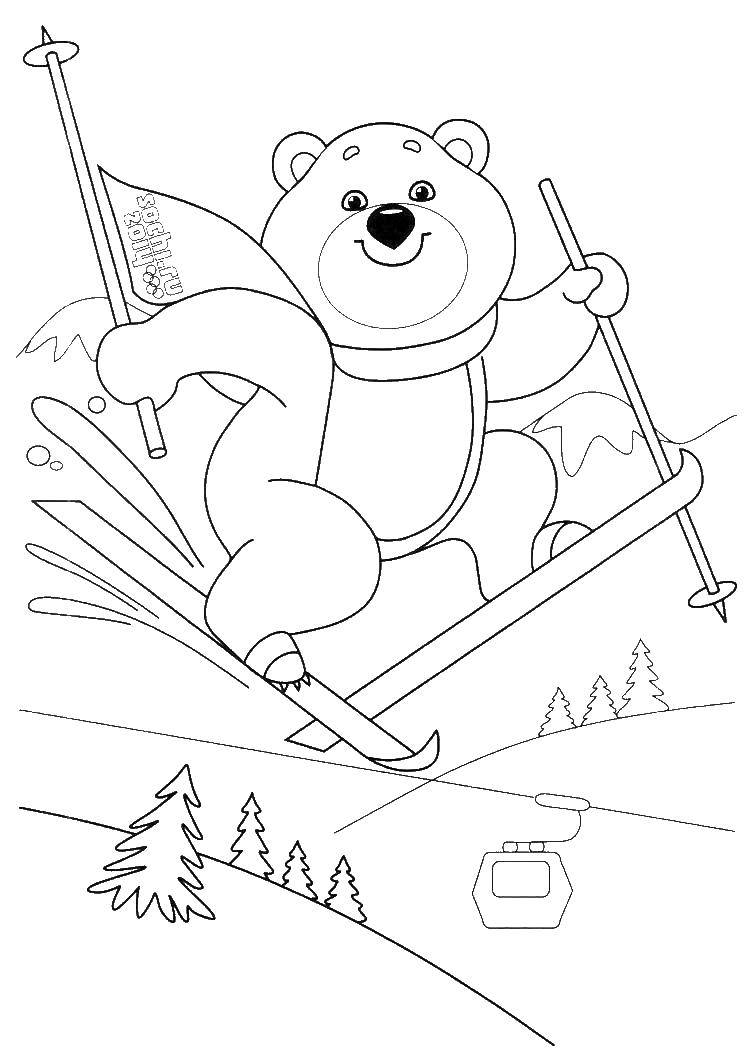 Название: Раскраска Медведь катается на лыжах. Категория: олимпийские игры. Теги: олимпийские игры, медведь, лыжи.