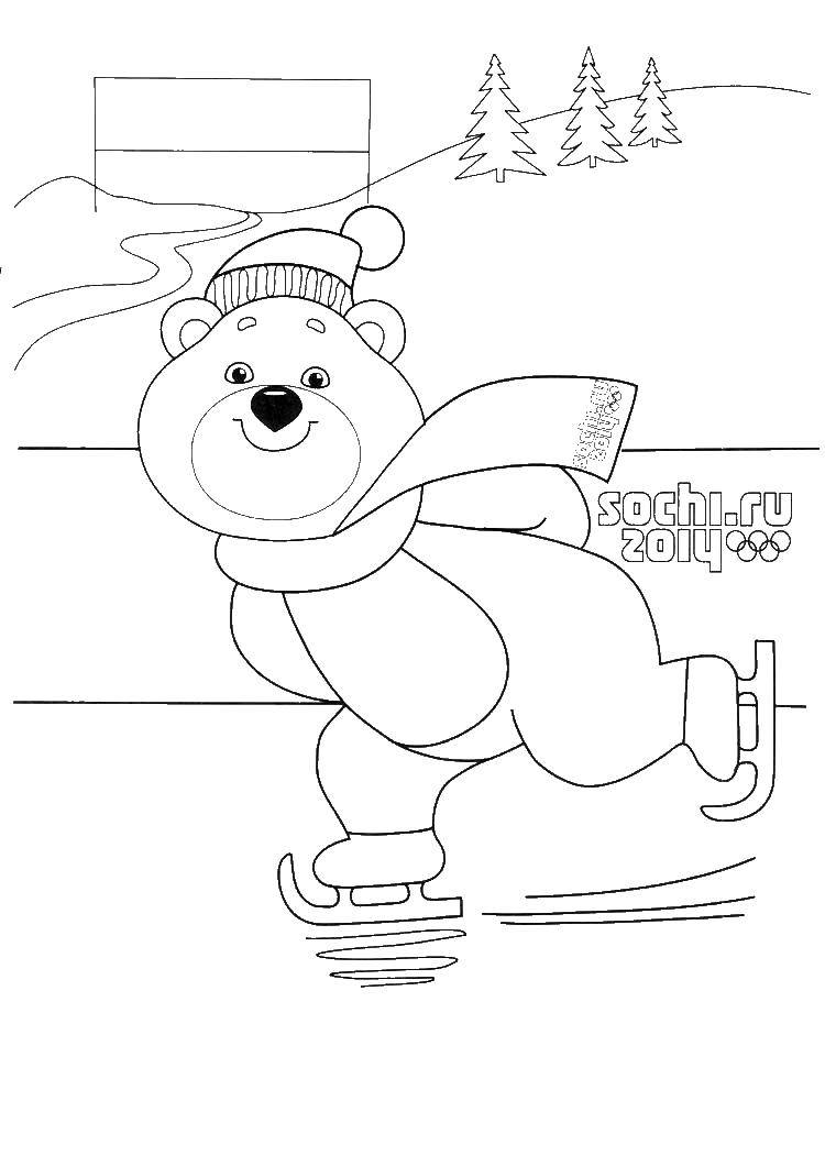 Coloring Bear skates. Category the Olympic games . Tags:  Olympic games, Sochi, bear, skating.