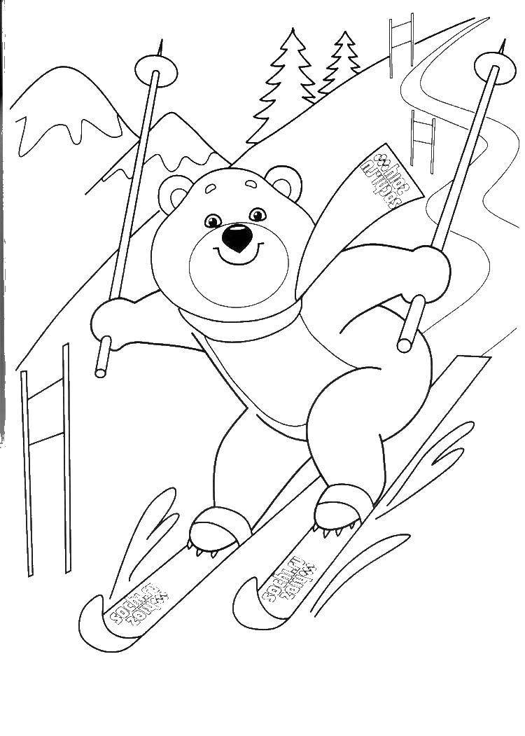 Coloring Olympic bear. Category the Olympic games . Tags:  Olympics.