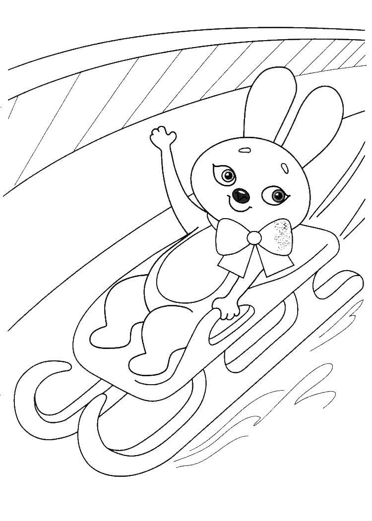 Coloring Bunny sledding. Category the Olympic games . Tags:  Olympic games, Sochi, rabbit, sled.
