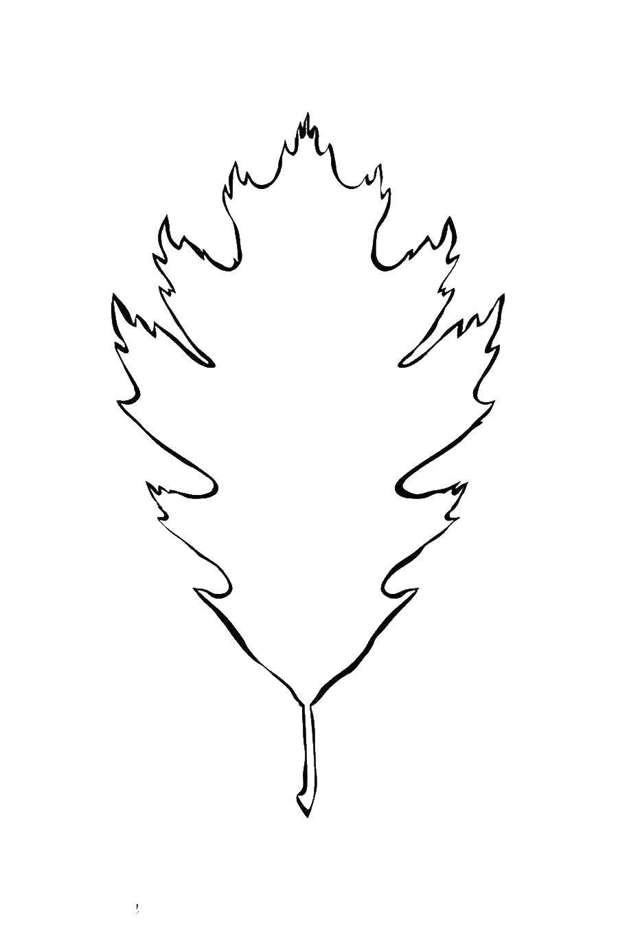 Название: Раскраска Листочек. Категория: листья. Теги: Деревья, лист.
