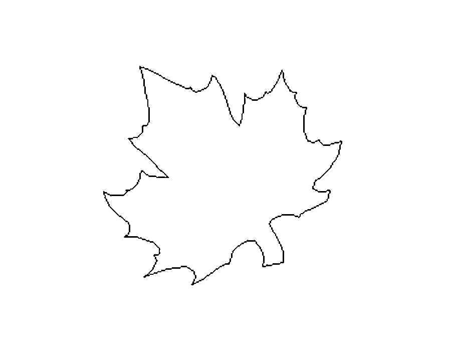 Название: Раскраска Контур кленового листка. Категория: кленовый лист. Теги: Листья, дерево, клён, осень.