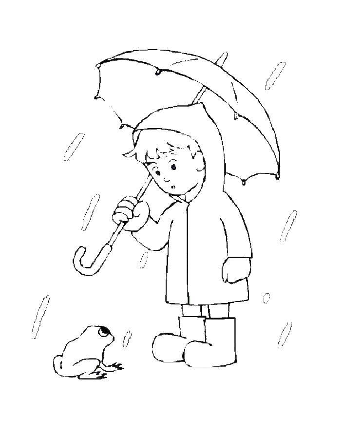 Coloring Frog in the rain. Category rain. Tags:  Rain, umbrella, autumn.