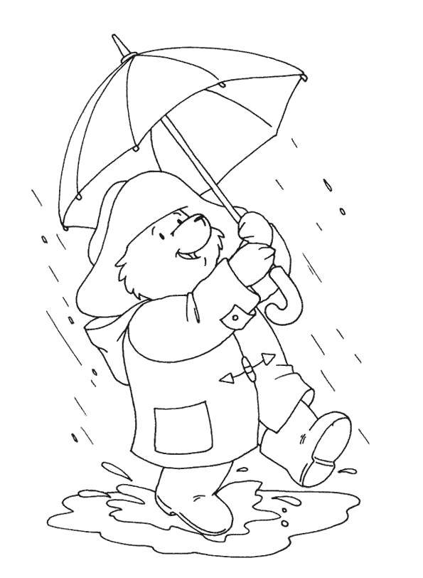 Coloring Bear in the rain. Category rain. Tags:  Rain, umbrella, autumn.