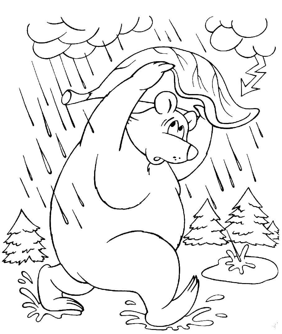 Название: Раскраска Мишка под дождём. Категория: дождь. Теги: Дождь, лес, осень.