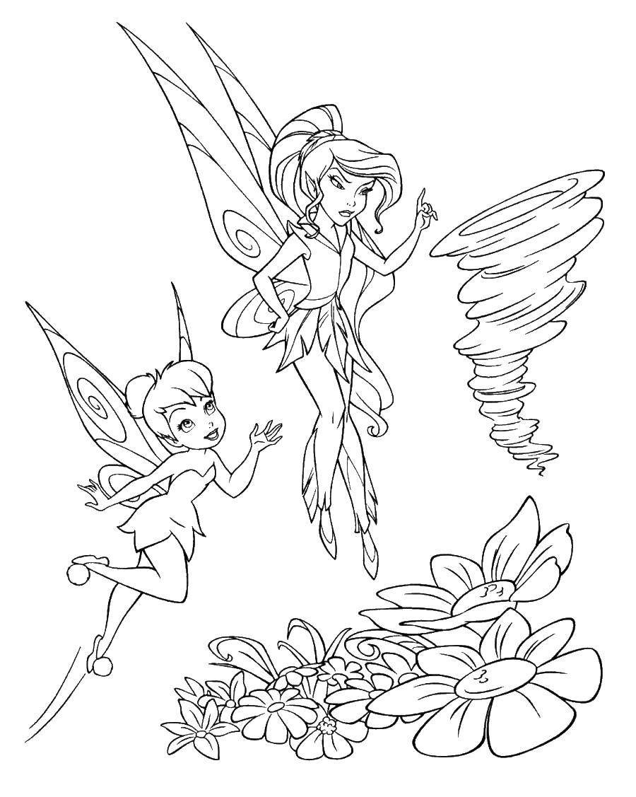 Coloring Fairies. Category fairies. Tags:  fairies, girls, girls, wings.