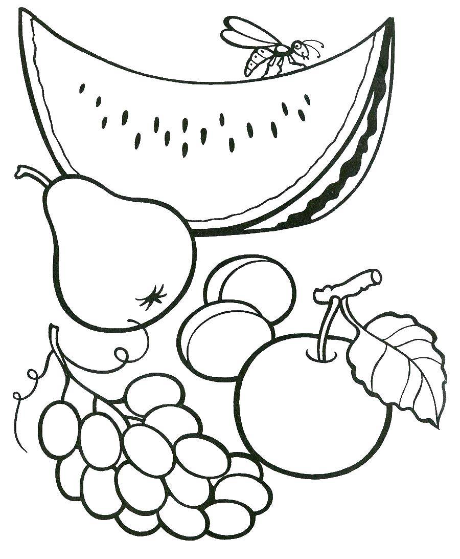 Название: Раскраска Фрукты и ягодки. Категория: фрукты. Теги: фрукты.