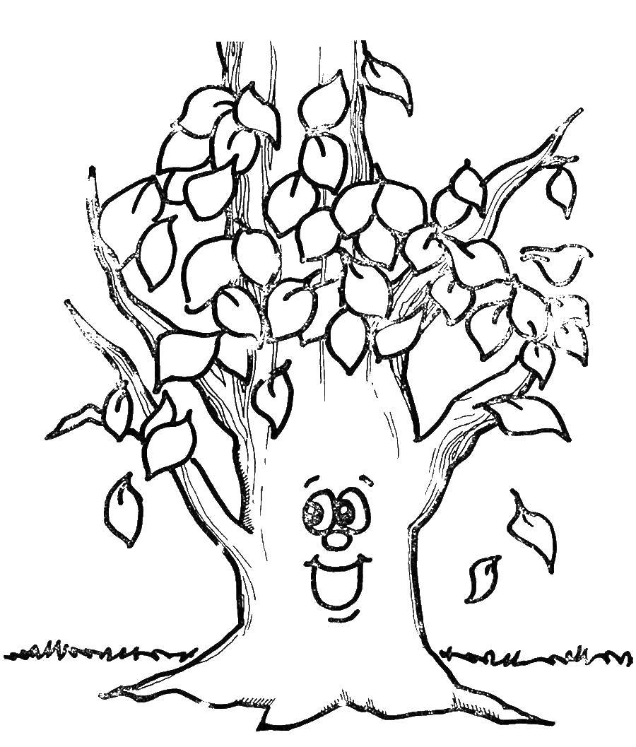 Coloring Happy tree. Category tree. Tags:  Trees, leaf.