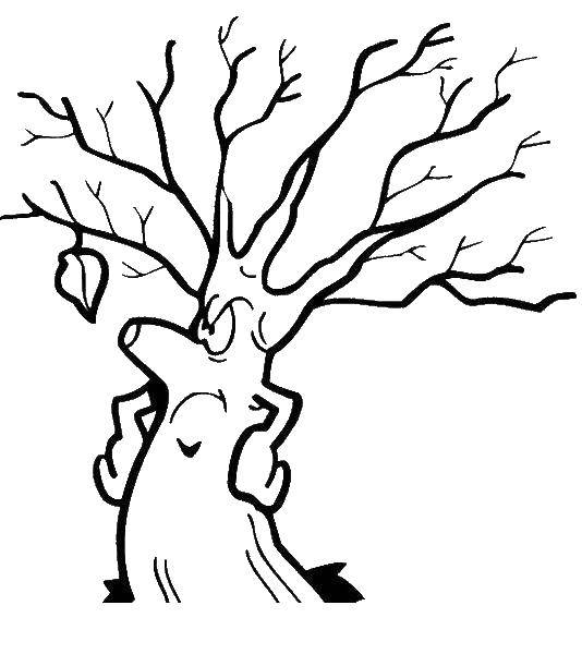 Название: Раскраска Сердитое дерево. Категория: дерево. Теги: Деревья, лист.