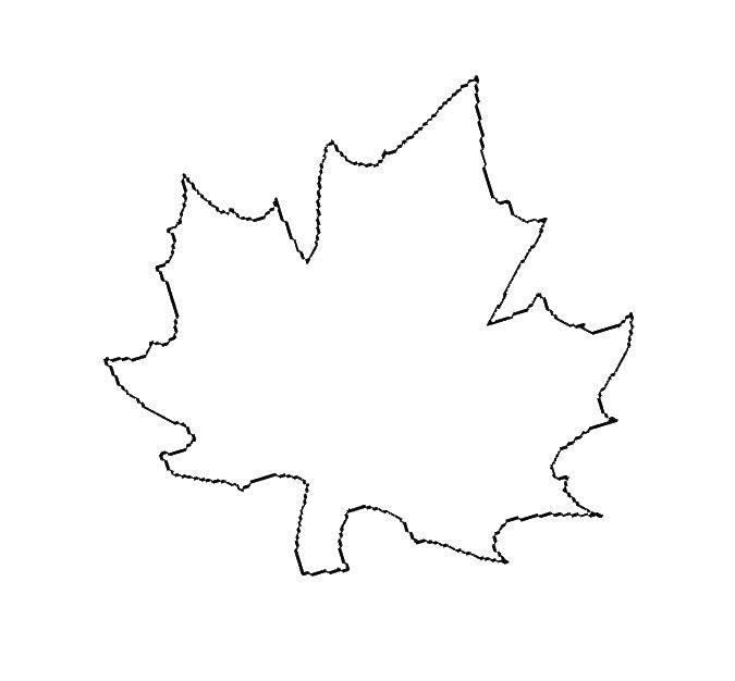 Название: Раскраска Лист. Категория: листья. Теги: листья, лист, дерево.
