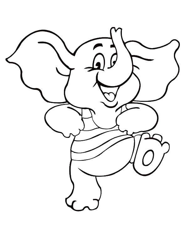 Название: Раскраска Милый слоненок. Категория: Животные. Теги: животные, слон, слоненок.