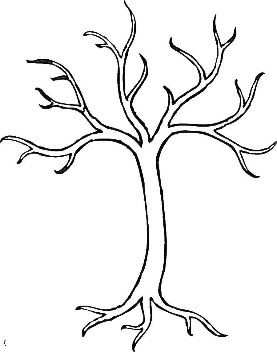 Coloring Bare tree. Category tree. Tags:  tree.