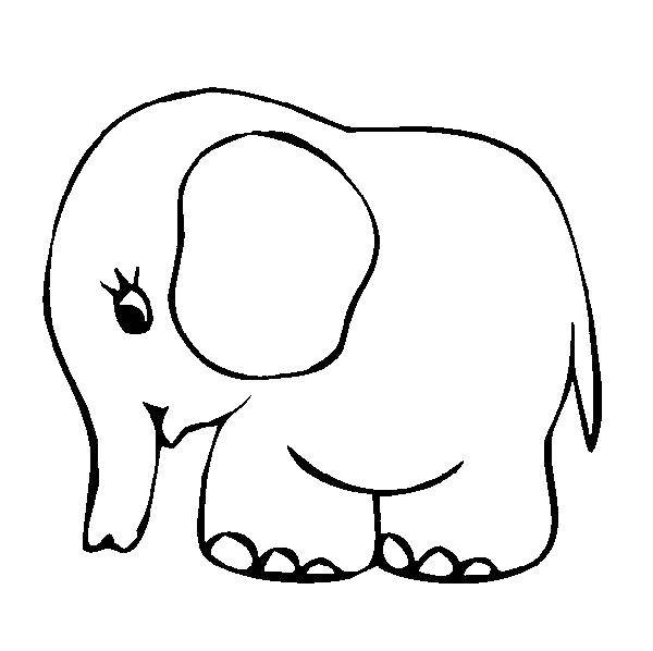 Название: Раскраска Слоненок. Категория: Животные. Теги: животные, слон, слоненок.