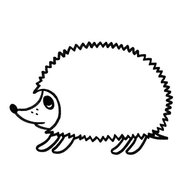 Coloring Hedgehog. Category Animals. Tags:  animals, hedgehog.