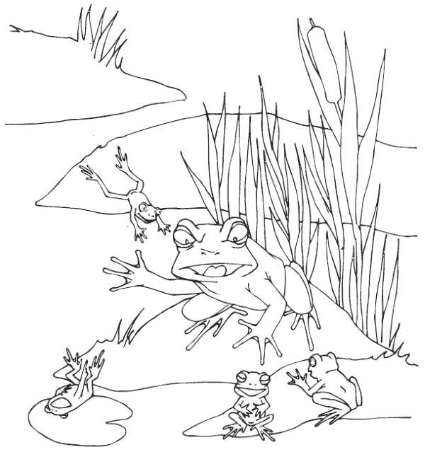 Опис: розмальовки  Мудра жабка. Категорія: жаба. Теги:  Рептилія, жаба.
