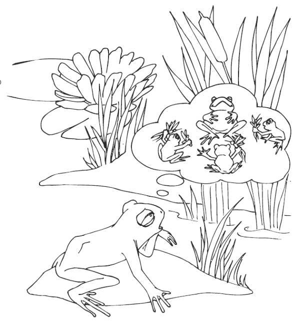 Coloring Frog. Category frogs. Tags:  Reptile, frog.