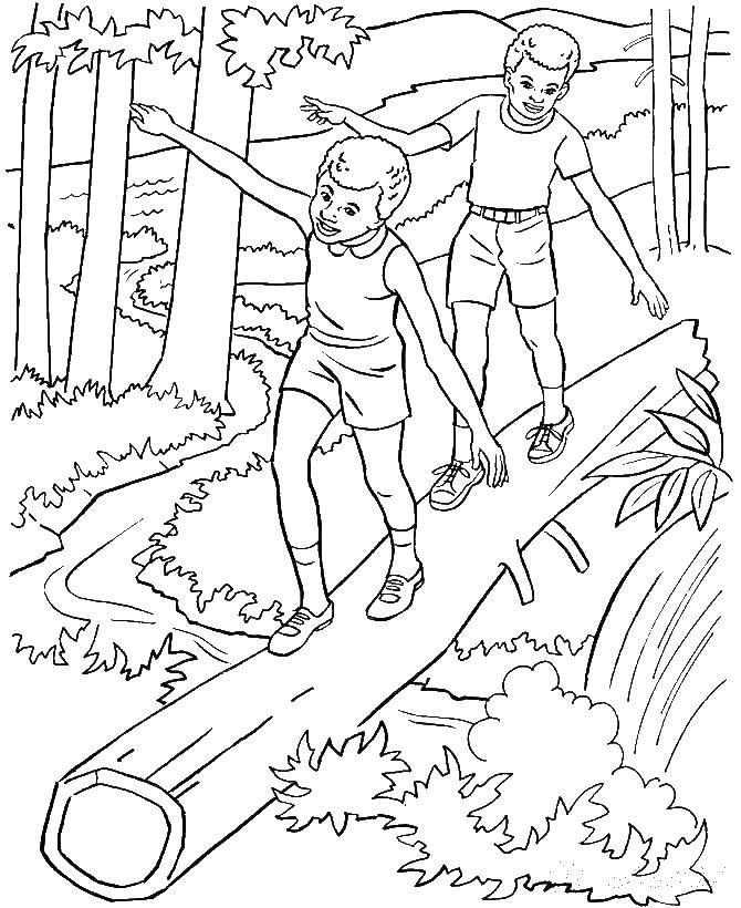 Coloring Boys in the campaign. Category Nature. Tags:  nature, hike, boys, log.