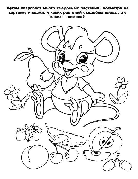 Coloring Think. Category coloring. Tags:  Mouse, animals.