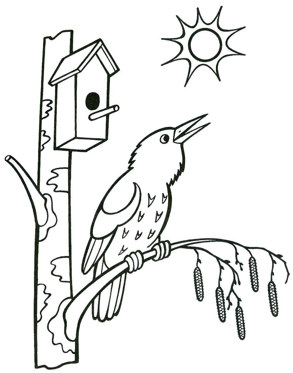 Название: Раскраска Птичка около скворечника. Категория: птицы. Теги: птицы, скворечник, солнце.