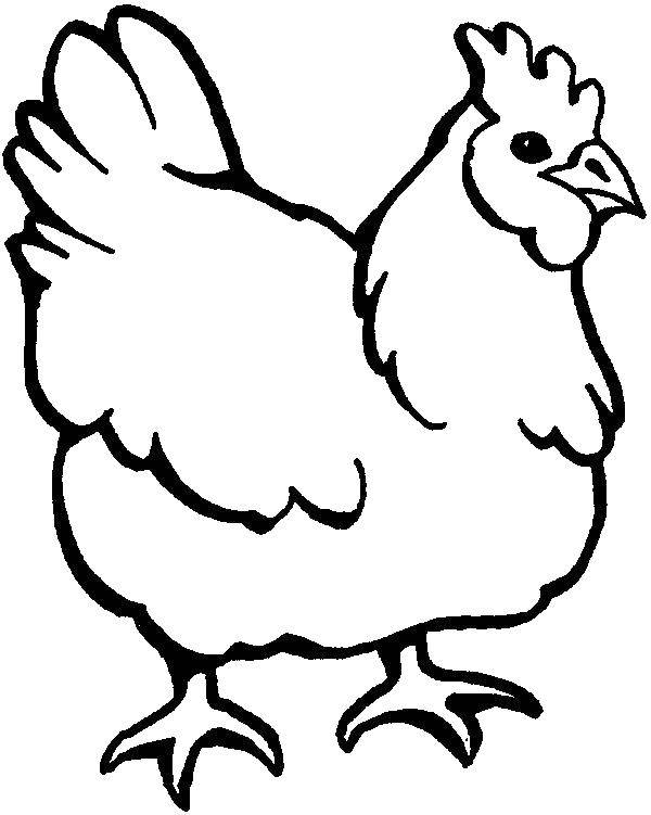 Coloring Chicken. Category birds. Tags:  Poultry, chicken.