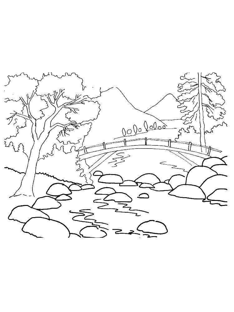 Название: Раскраска Лесная речушка. Категория: река. Теги: Лес, деревья, природа, река, горы.