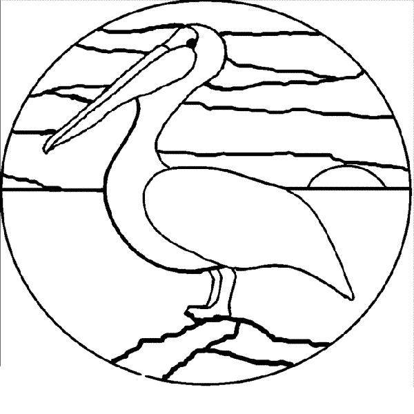 Coloring Pelican. Category birds. Tags:  Birds, Pelican.