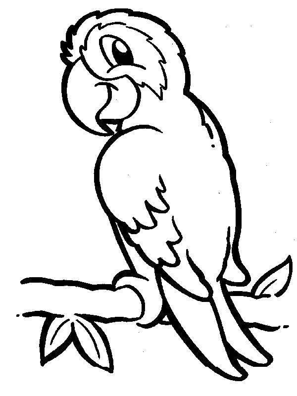 Coloring Parrot. Category birds. Tags:  Birds, parrot.