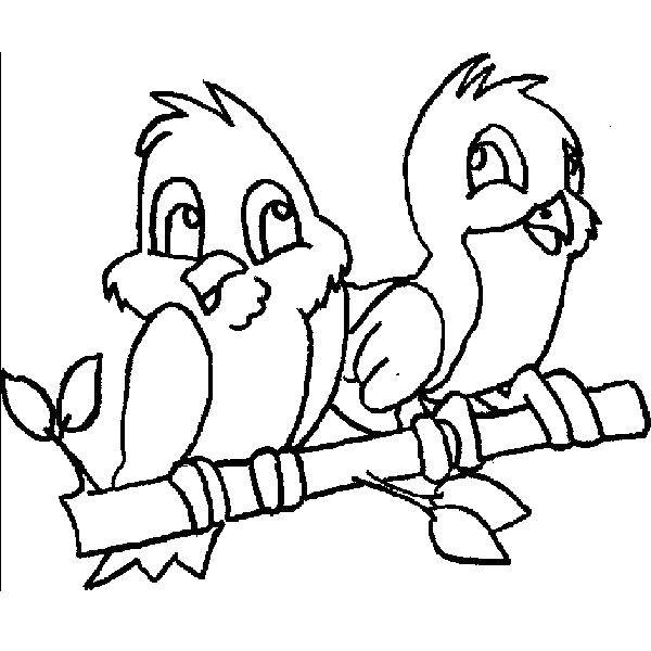 Coloring Birds on a branch. Category birds. Tags:  birds, branches.