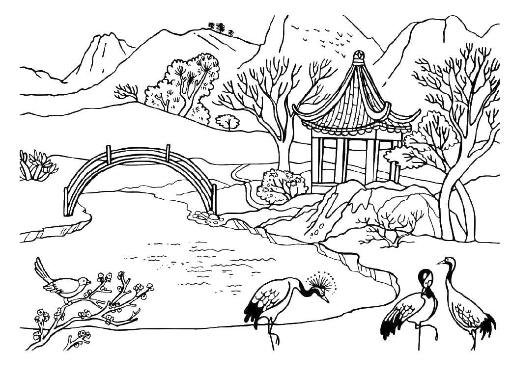 Название: Раскраска Журавли у китайской речки. Категория: река. Теги: Река, птицы.