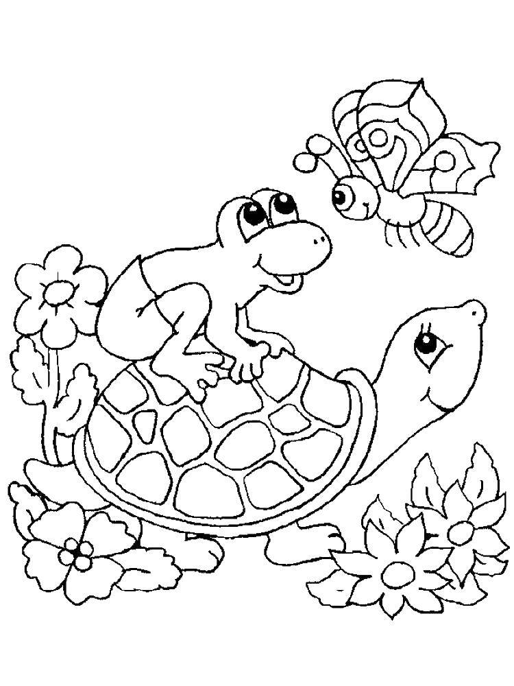 Розмальовки  Черепашка з жабою і метеликом. Завантажити розмальовку тварини, черепаху, панцир, жаба, метелик.  Роздрукувати ,Черепаха,