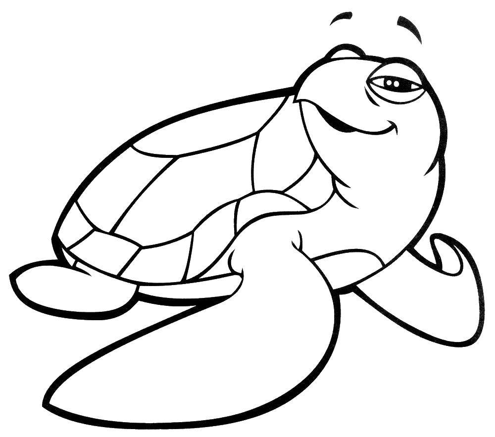 Опис: розмальовки  Весела черепашка. Категорія: Черепаха. Теги:  тварини, черепаху, панцир.