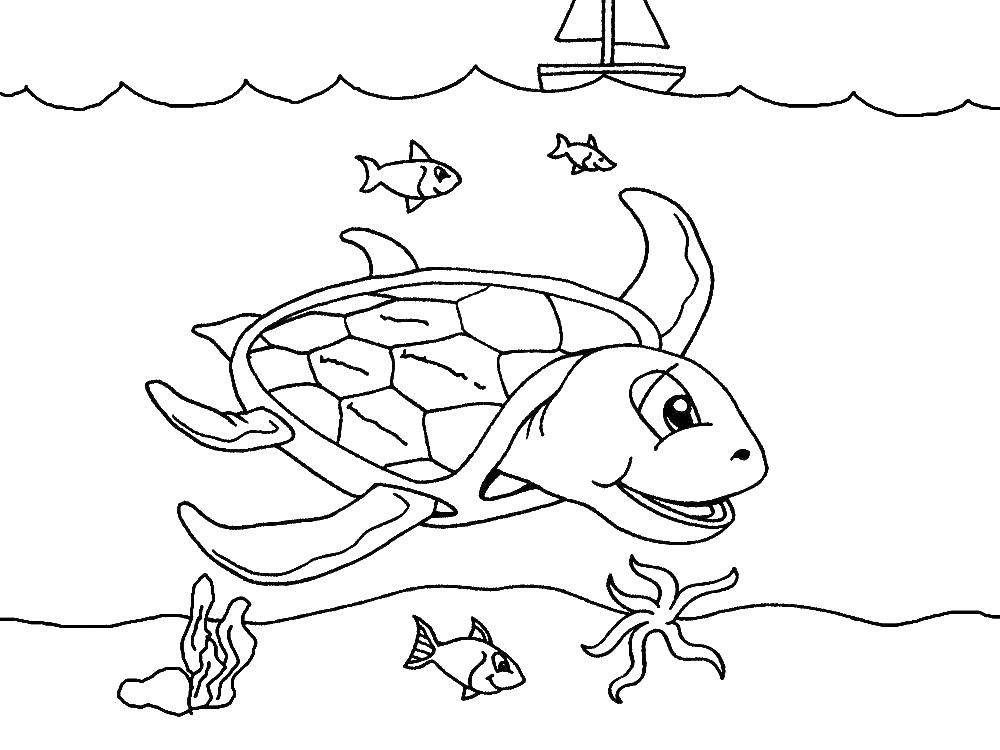 Название: Раскраска Черепаха в воде. Категория: Черепаха. Теги: животные, черепаха, панцирь, вода, море.