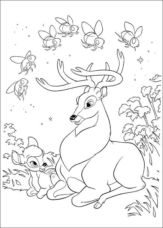 Coloring Bambi. Category Disney cartoons. Tags:  Disney, fawn, Bambi.