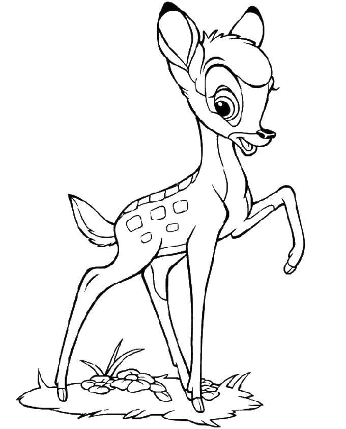 Coloring Bambi. Category Disney cartoons. Tags:  Disney, fawn, Bambi, cartoons.
