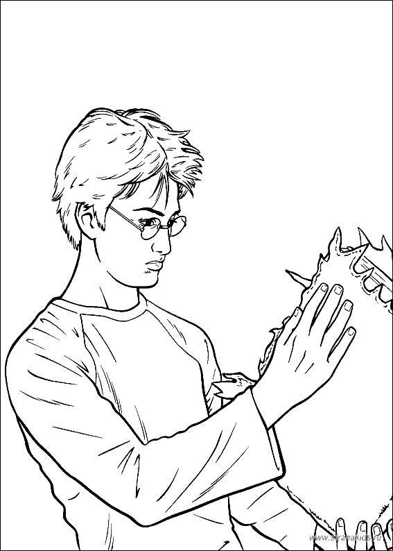 Название: Раскраска Гарри поттер с книгой ужасов. Категория: гарри поттер. Теги: Гарри Поттер, мультфильм.