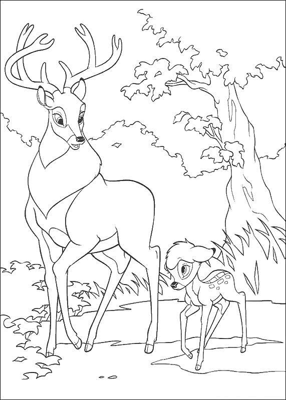 Coloring Cartoon Bambi. Category Disney cartoons. Tags:  Disney, fawn, Bambi, cartoons.